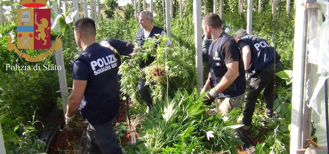 'Ndrangheta, Coldiretti: da frutta a bar affari per 24,5 miliardi