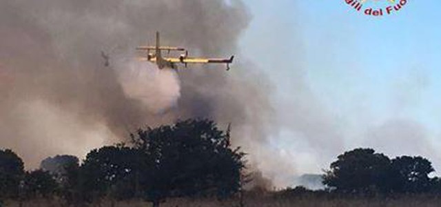 Incendi, l'appello che arriva da Tarsia: inferno non è un eufemismo