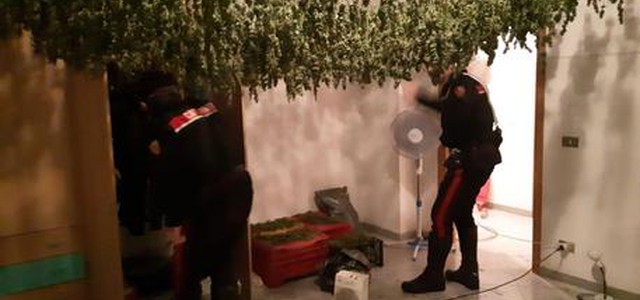 Trovati con 13 kg di canapa indiana,tre arresti