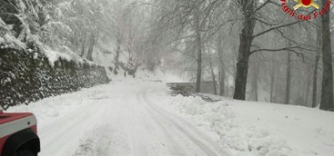 Maltempo, cade albero e danneggia tetto dell'Eremo di San Bruno