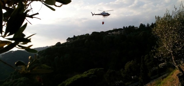 Incendio minaccia Parco della Biodiversità Mediterranea, situazione sotto controllo (VIDEO)