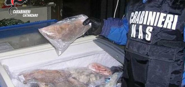 Sequestrati 12 kg di prodotti ittici a Lamezia Terme