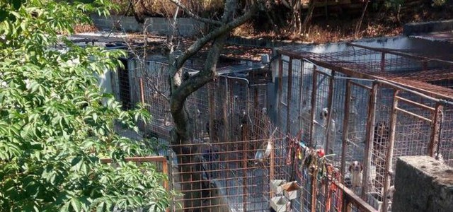 Smaltimento illecito di rifiuti, Carabinieri sequestrano canile