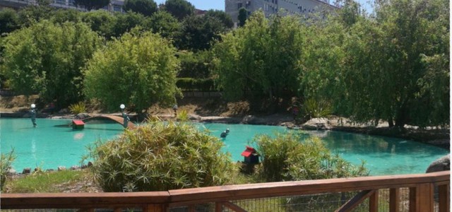 PARCO DELLA BIODIVERSITA’ MEDITERRANEA - MERCOLEDI’ INAUGURAZIONE DEL LAGHETTO E DELLA VALLE DEI  MULINI