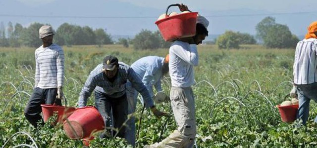 Decine di migranti vivevano in condizioni di assoluto degrado - Sequestrata masseria