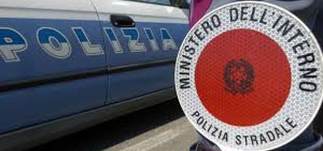 La Polizia di Stato ritrova un esemplare di falco lanario