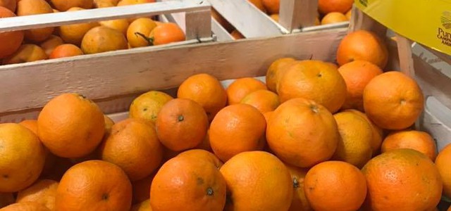 Agrumi calabresi spopolano nei mercati di Campagna Amica di Veneto, Lombardia, Piemonte ed Emilia