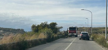 Forti raffiche di vento a Catanzaro, cade albero in viale Crotone direzione Giovino