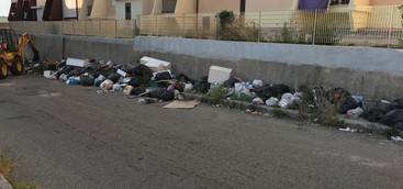 Russo: "Pulizia viale Isonzo, promessa mantenuta"