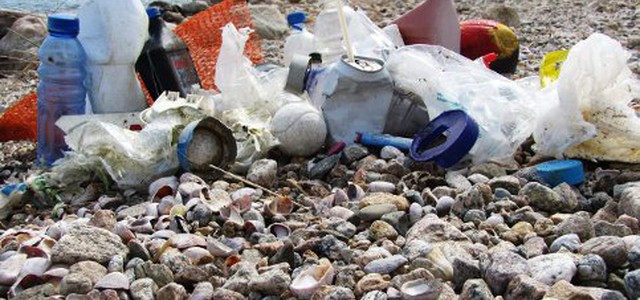 Spiagge e Fondali Puliti - Clean up the Med di Legambiente Calabria