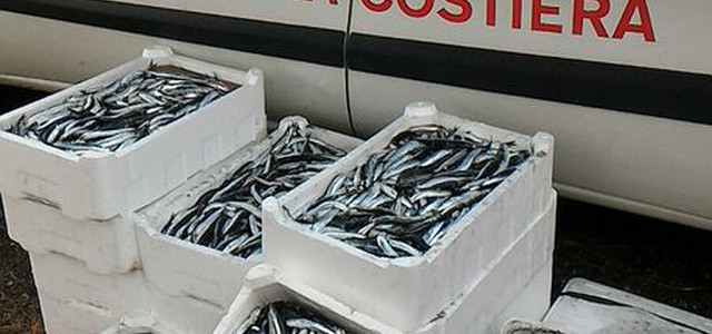 Sequestrati 140 kg pescato non tracciato