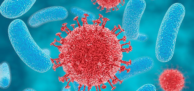 Turisti contraggono batterio resistente nelle Canarie, rischio epidemia