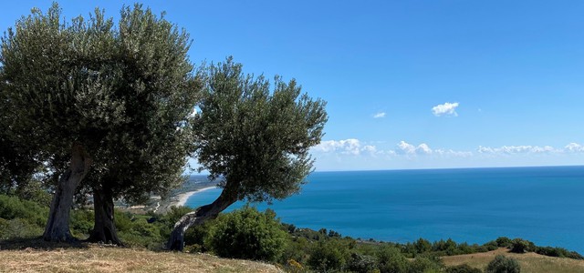 “Mediterraneo, un laboratorio di integrazione. Il potenziale contributo della Calabria”.   Convegno promosso dall’Associazione fra ex consiglieri regionali  con la collaborazione dell’Arcidiocesi di R