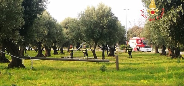 Danneggiati pali Telecom per furto di rame