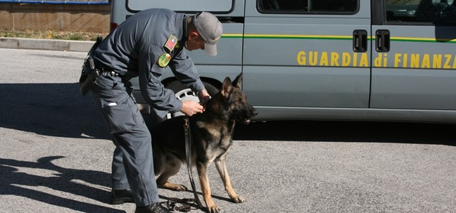 In partenza per la Svizzera con cocaina, arrestato grazie a cane antidroga