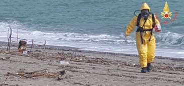 Fusto in spiaggia Roccelletta, rimosso dai vigili del fuoco