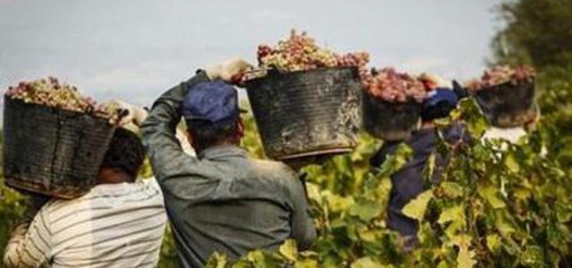 Pagati in base al colore della pelle, due arresti