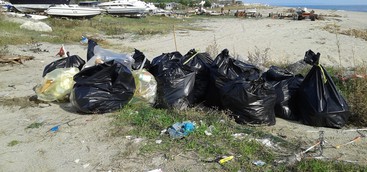 Volontari in azione per ripulire la spiaggia