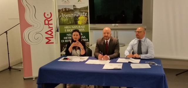 Eventi ed escursioni per l’estate del Parco dell’Aspromonte