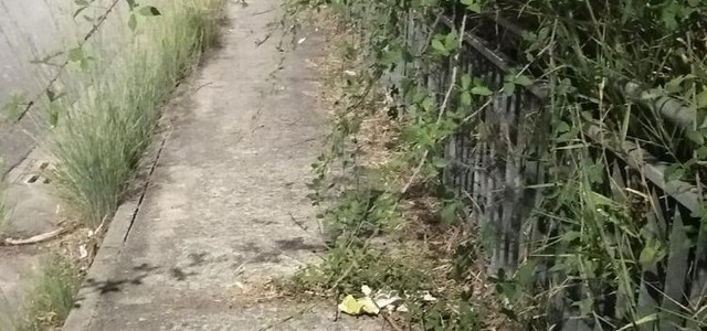Costanzo denuncia: "A Campagnella i marciapiedi sono off limits per i pedoni"