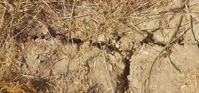 Siccità in Calabria, Sorical lancia l'allarme