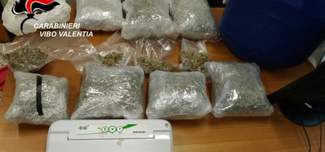 Droga in stalla cavalli, arrestato 23enne