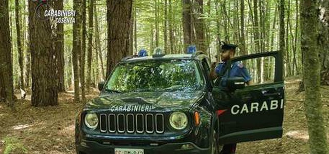 Detenevano in casa cocaina e marijuana, arrestata coppia