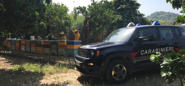 Sei apicoltori multati e denunciati dai Carabinieri forestali