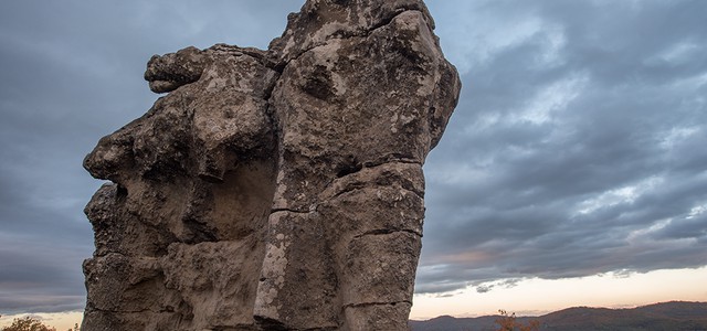 Sul magazine di National Geographic gli elefanti preistorici della Calabria