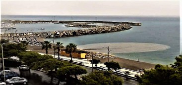 Mare marrone e Riccio su Facebook: "Siamo noi dei mentecatti che crediamo ancora nella legge?"