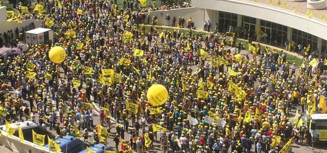 Tar dispone annullamento parziale Piano Straordinario accreditamento per vescicolare suina