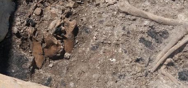 Una 'Mini Pompei' emerge dagli scavi della metro a Roma, c'è anche un cane