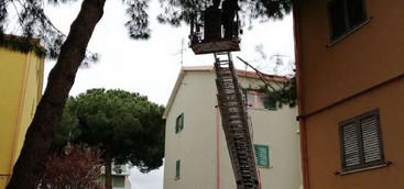 Giornata di interventi per i Vigili del Fuoco