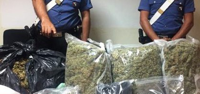 Otto chili di marijuana in casa, arrestato 27enne nel Catanzarese