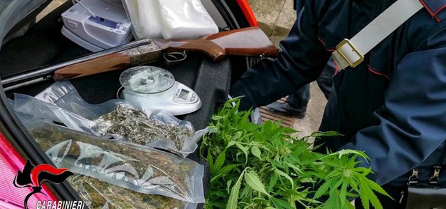 Droga, scoperte 1000 piante di canapa: arrestata intera famiglia