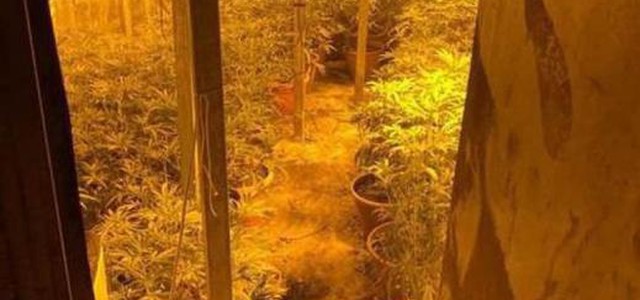 Bunker sotterraneo per coltivare droga, arrestati padre e figlio