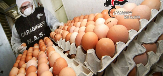 Sequestrate 4 mila uova fresche, sospesa attività