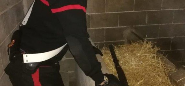 Rinvenuto fucile e munizioni in un fienile, un arresto