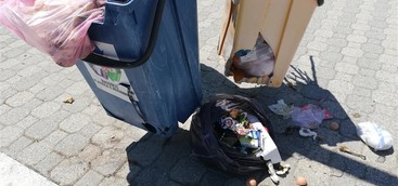 Lazzaro, si aggrava la situazione igienico sanitaria sul lungomare Cicerone.
