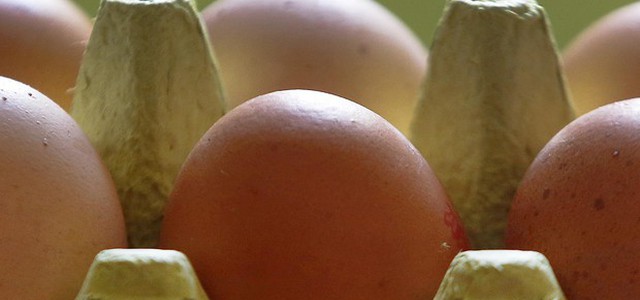 Due casi in Campania di uova contaminate, uno nelle Marche
