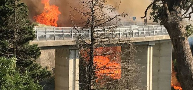 Incendio a Catanzaro, riunione tecnico-operativa: fiamme propagate da tre diversi focolai