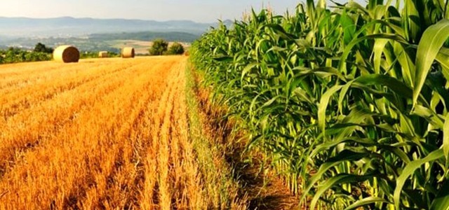 Calabria, positivo l’incontro tra Altragricoltura, la Rete Calabrese Salviamo l’Allevamento e l’assessore regionale all’agricoltura Gianluca Gallo sul tema lingua blu e zoonosi