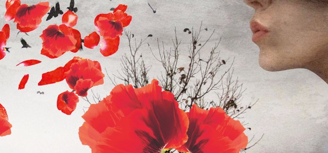 Aidm, convegno su "Patologie respiratorie e differenze di genere"