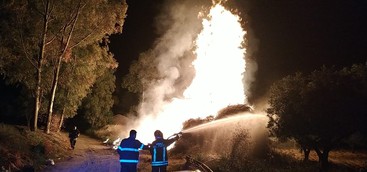 Lamezia, incendio di enormi cumuli di sterpaglie (FOTO e VIDEO)