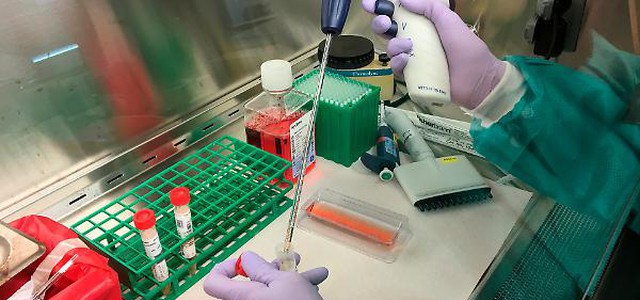 Coronavirus, "una speranza dal sangue dei guariti"