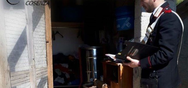 Segrega e picchia compagna, obbliga cognato invalido a vivere con animali: arrestato