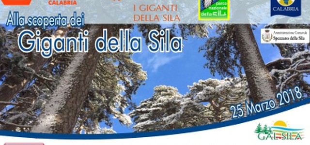 Treni turistici: in arrivo il Treno dei Giganti della Sila