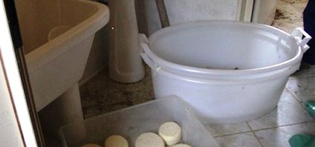 Carenze igieniche nella produzione e conservazione dei formaggi, deferiti allevatori nel Catanzarese