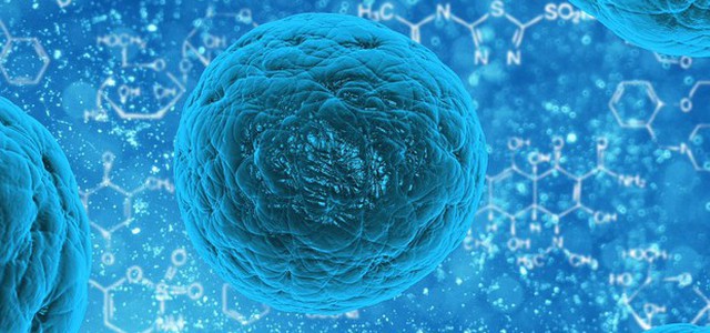 Due pazienti tornano a vedere grazie a terapia con staminali