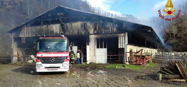 Stalla in fiamme nel Cosentino